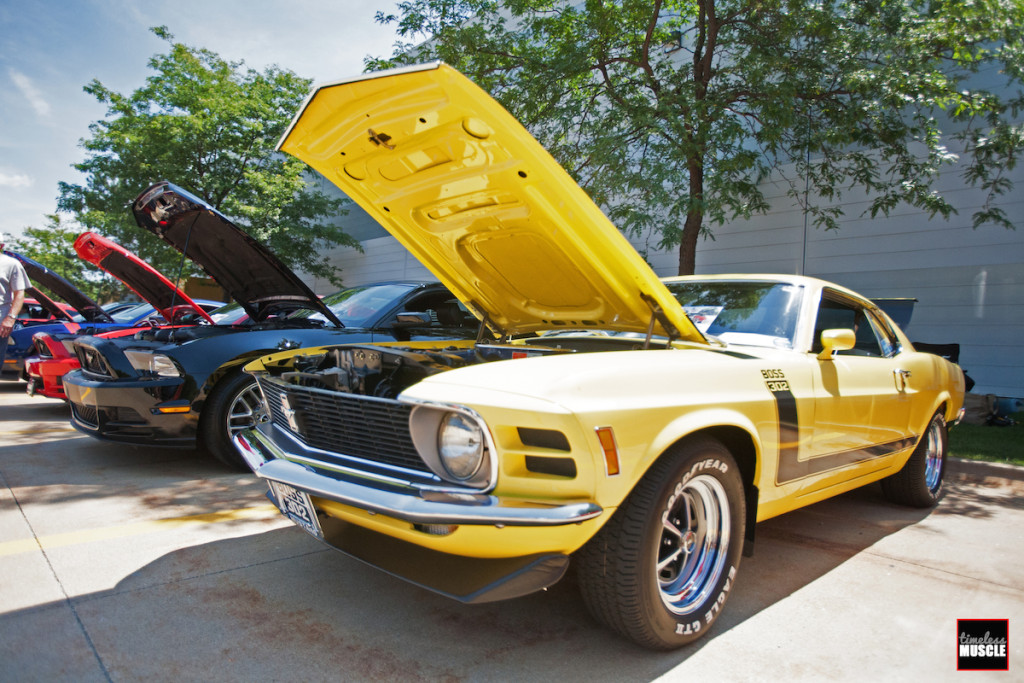 SUMMITMUSTANG-11