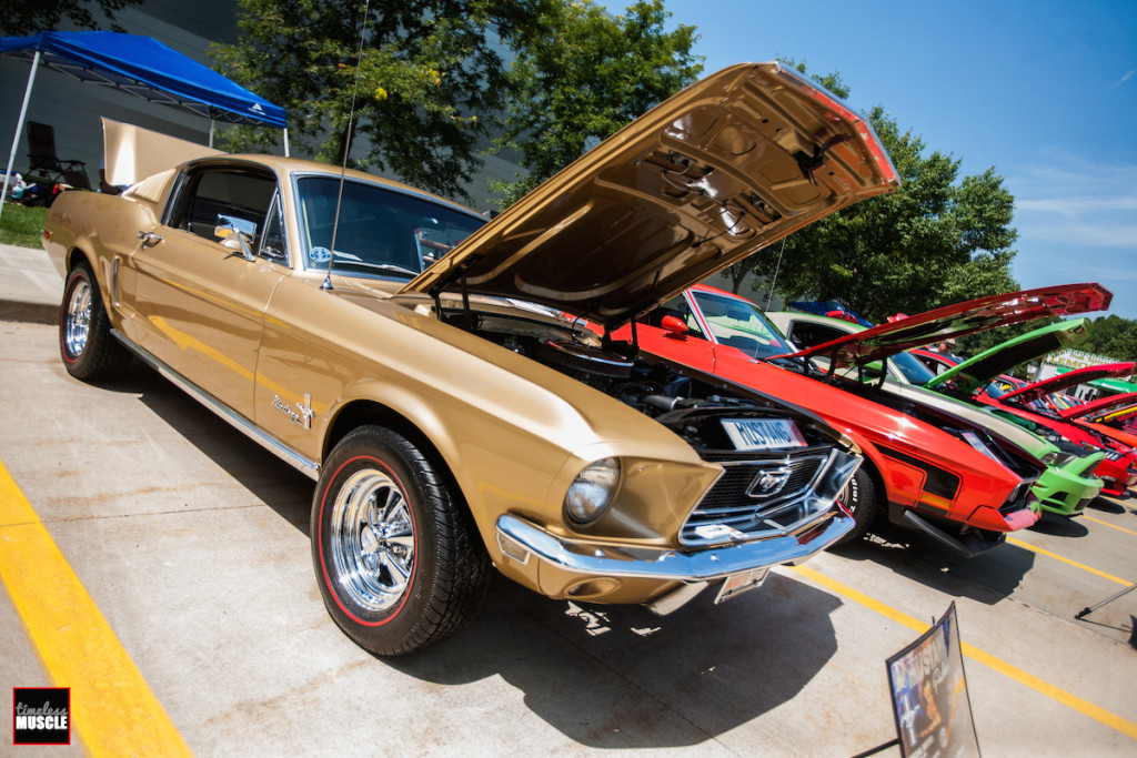 A gold Fastback GT leads a row of 'Stangs that includes a '71 Mach 1 and a Grabber Green Coyote GT.